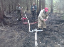 в Смоленской области зарегистрирован первый лесной пожар - фото - 1