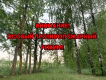 на территории Шумячского района установлен особый противопожарный режим - фото - 1