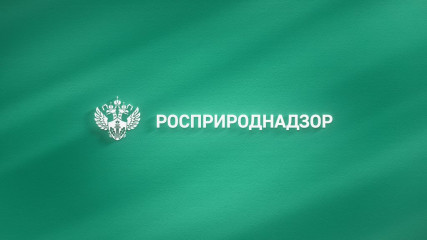 о подтверждении соответствия лицензиатов лицензионным требованиям - фото - 1