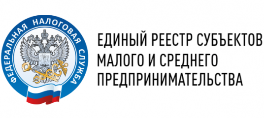 субъект малого и среднего предпринимательства исключен из реестра, что делать - фото - 1