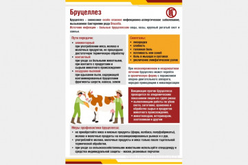 управление Роспотребнадзора по Смоленской области информирует о профилактике природно-очаговых инфекций, в том числе бруцеллеза - фото - 1