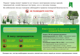 предупреждение о пожарной опасности в Смоленской области - фото - 1