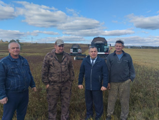уборочная кампания гречихи началась в ООО "Залесье Агро" - фото - 2