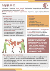 управления Роспотребнадзора по Смоленской области информирует - фото - 1