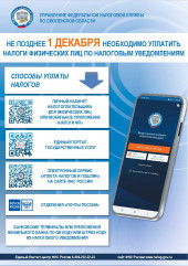 срок исполнения налоговых уведомлений по уплате имущественных налогов и налога на доходы физических лиц за 2024 год – до 1 декабря - фото - 1