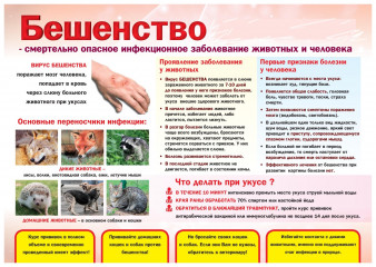 профилактика бешенства - фото - 1