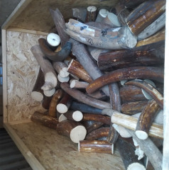 смоленская ТРАНСПОРТНАЯ ПРОКУРАТУРА информирует - фото - 1