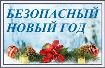 памятка по соблюдению мер антитеррористической безопасности в Новогодние праздники - фото - 1