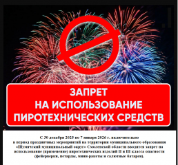 запрет на использование пиротехники - фото - 1