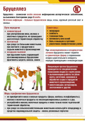 управления Роспотребнадзора по Смоленской области информирует - фото - 1