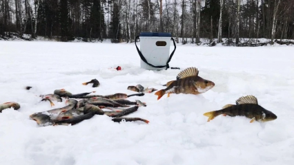 правила безопасности на зимней рыбалке - фото - 1