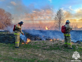 неутешительные цифры статистики палов травы - фото - 1
