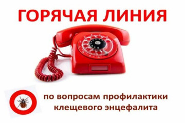 о Всероссийской горячей линии по профилактике клещевого энцефалита и инфекций, передающихся клещами - фото - 1