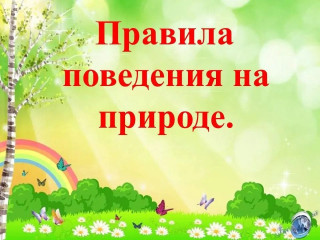правила ответственного поведения на природе - фото - 1