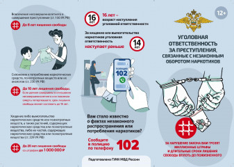 информация об уголовной ответственности за преступления в сфере незаконного оборота наркотиков - фото - 2