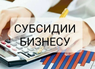 предоставление субсидий субъектам МСП, заключившим договор (договоры) лизинга оборудования с российскими лизинговыми организациями, на возмещение части затрат на уплату первого взноса (аванса) - фото - 1