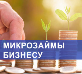 информация о льготных продуктах Смоленского областного фонда поддержки предпринимательства на развитие бизнеса - фото - 1