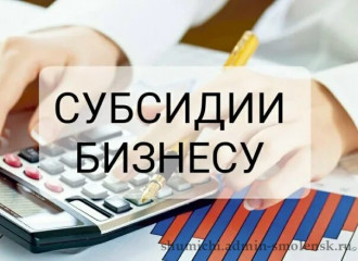 предоставление субсидий субъектам МСП, заключившим договор (договоры) лизинга оборудования с российскими лизинговыми организациями, на возмещение части затрат на уплату первого взноса (аванса) - фото - 1