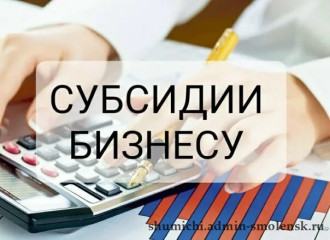 предоставление субсидий субъектам МСП, заключившим договор (договоры) лизинга оборудования с российскими лизинговыми организациями, на возмещение части затрат на уплату первого взноса (аванса) - фото - 1
