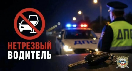 «нетрезный водитель» - фото - 1