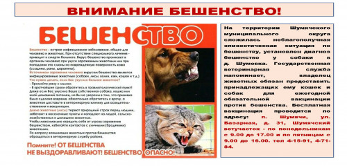 внимание БЕШЕНСТВО - фото - 1